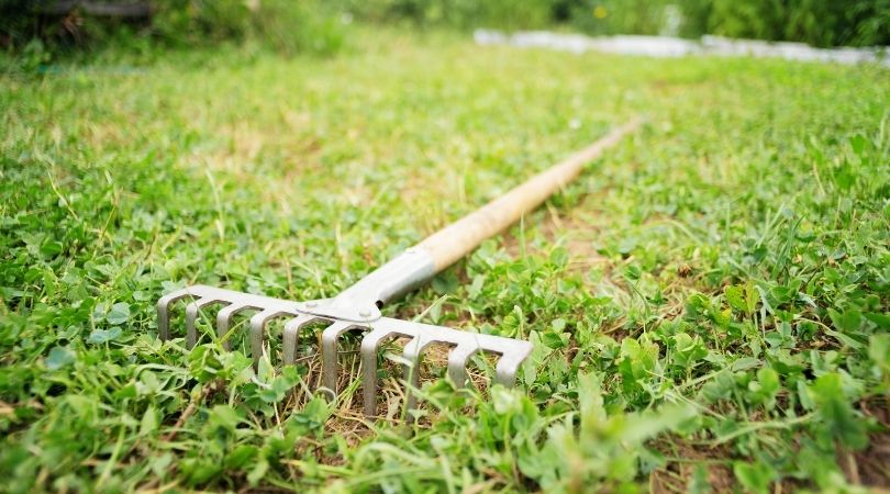 A traditional rake lying on grass
