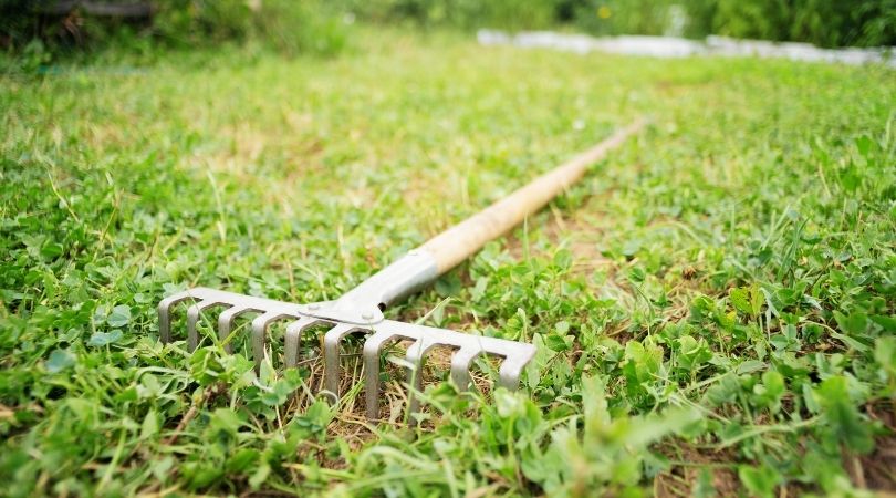 How To Power Rake Or Dethatch Your Lawn | Smart Garden Gadgets