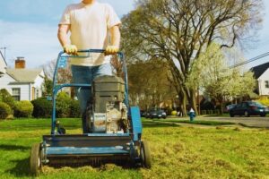 What Is Power Raking in Lawn Care?